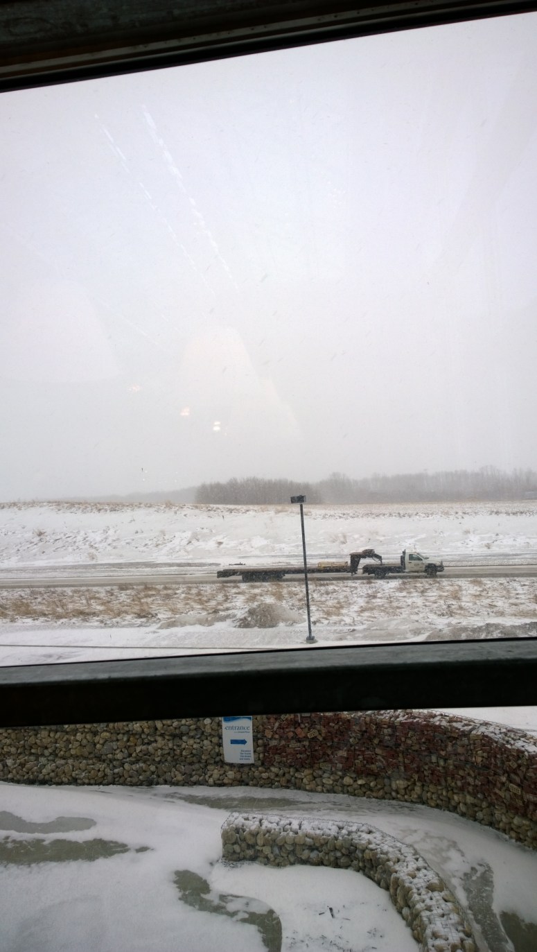 WP_20140320_11_55_57_Pro__highres